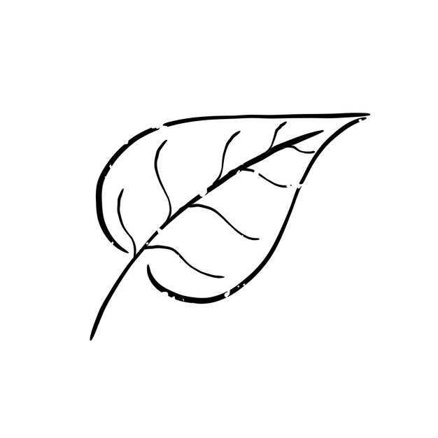 Ilustración de la planta