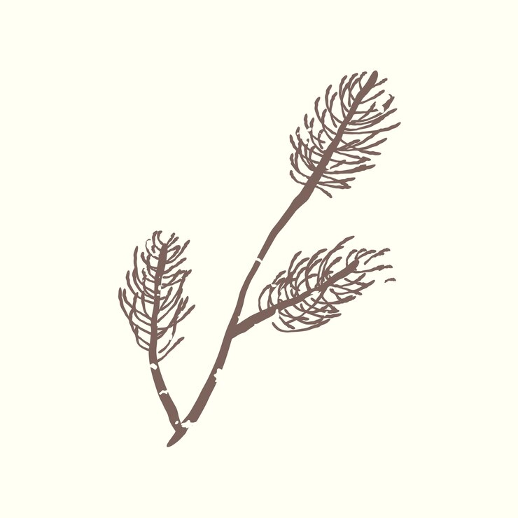 Vector gratuito ilustración de la planta