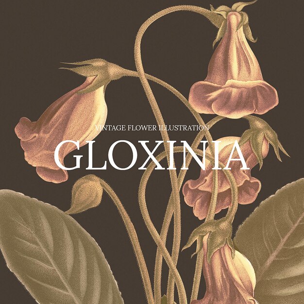 Ilustración de plantilla floral vintage con fondo de gloxinia, remezclado de obras de arte de dominio público