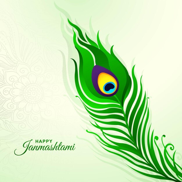 Ilustración de pluma de pavo real para el diseño de la tarjeta shree krishna janmashtami