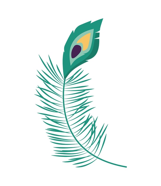 ilustración de plumas de pavo real