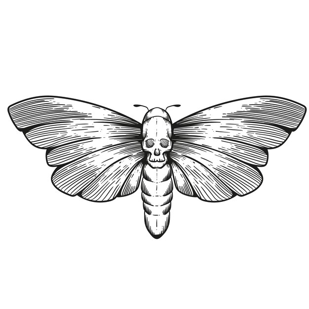 Ilustración de polilla de la muerte dibujada a mano