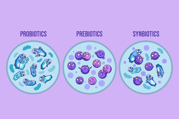 Ilustración de probióticos y prebióticos dibujados a mano