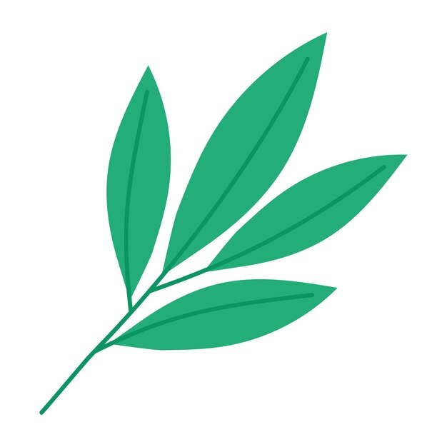 Ilustración de la rama de la planta