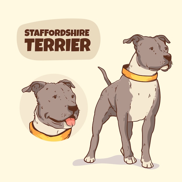 Vector gratuito ilustración de razas de perros dibujadas a mano