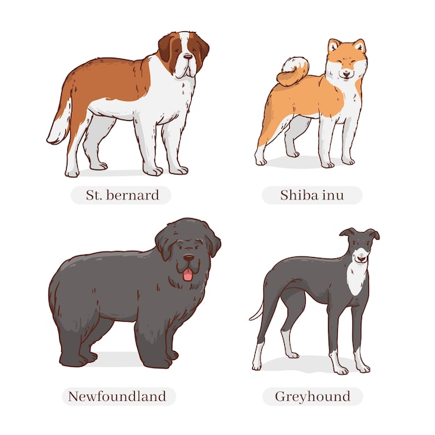 Ilustración de razas de perros dibujadas a mano