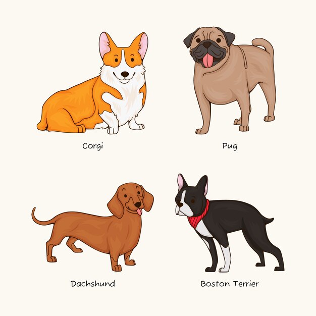 Ilustración de razas de perros dibujadas a mano
