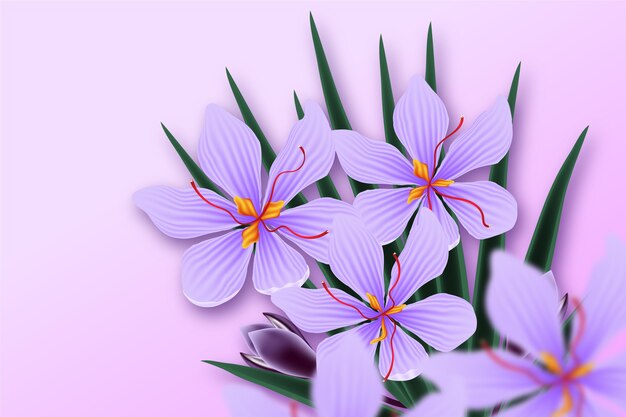 Ilustración realista de flor de azafrán