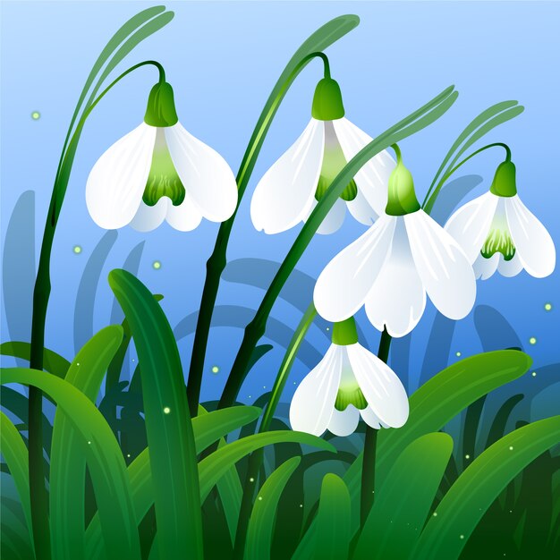 Ilustración realista de flor de campanilla blanca