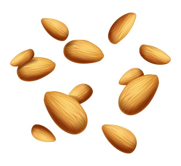 Ilustración realista del icono vectorial de la bandera de las nueces de almendra que cae