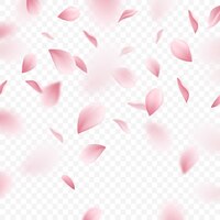 Vector gratuito ilustración realista de pétalos de sakura rosa cayendo