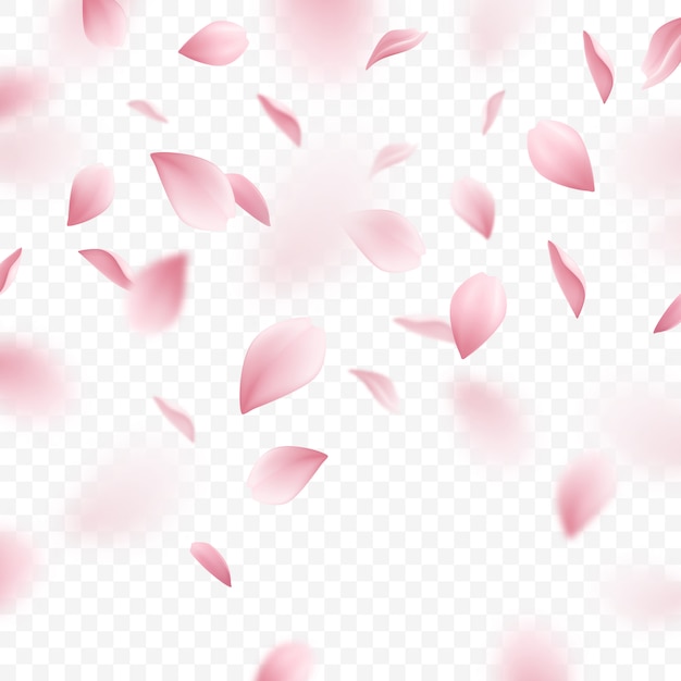 Ilustración realista de pétalos de sakura rosa cayendo