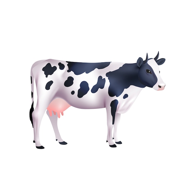 Ilustración realista de la vaca