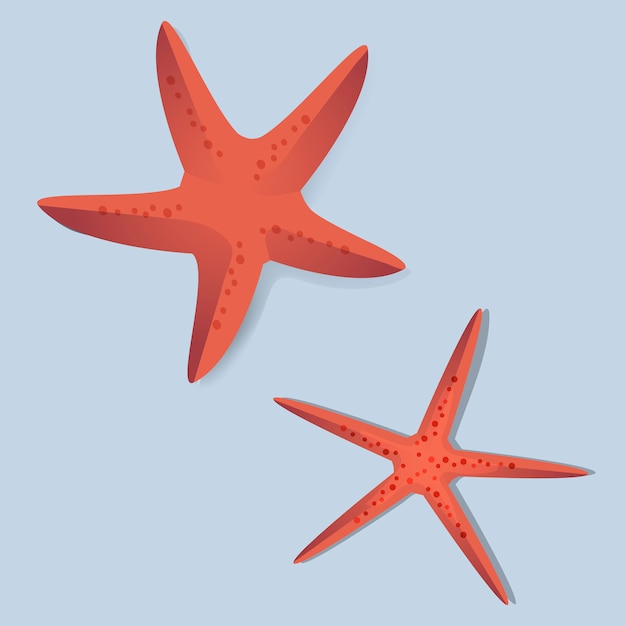 Ilustración roja del vector de dos estrellas de mar