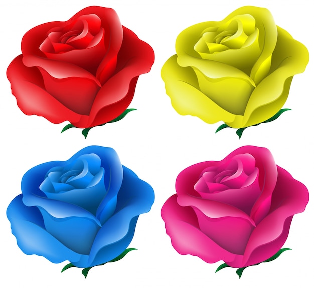 Vector gratuito ilustración de las rosas de colores sobre un fondo blanco