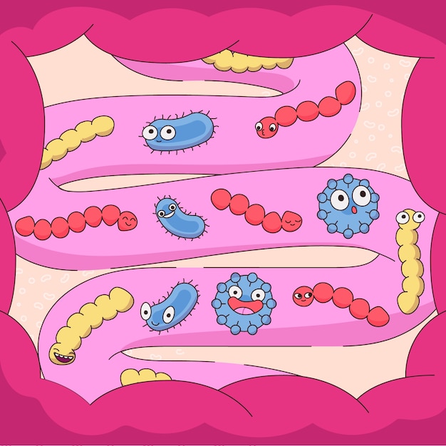 Vector gratuito ilustración de salud intestinal dibujada a mano