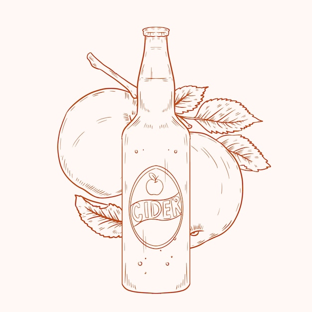 Ilustración de sidra dibujada a mano