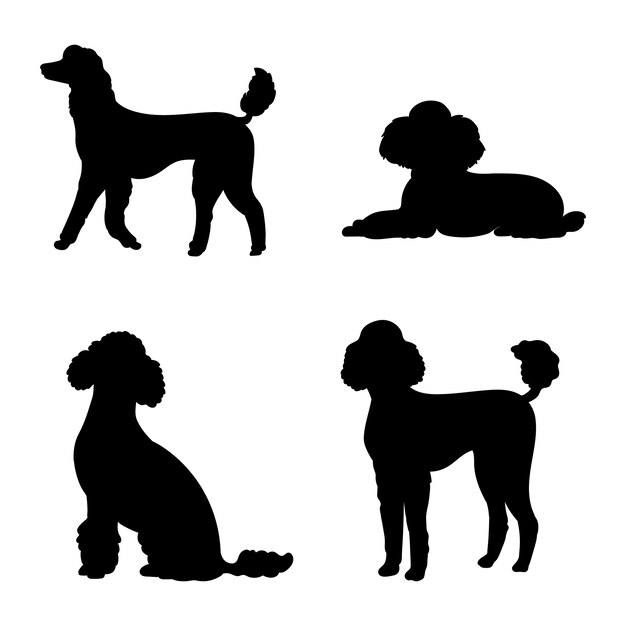 Ilustración de silueta de caniche de diseño plano