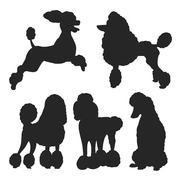 Ilustración de la silueta del caniche de diseño plano