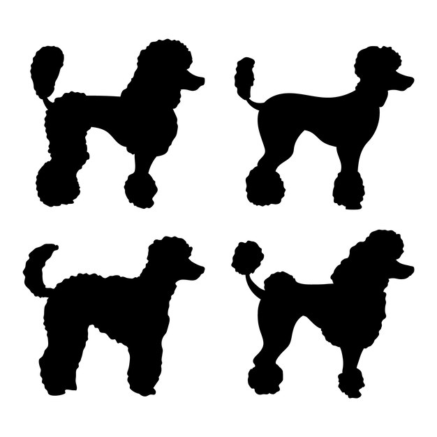 Ilustración de silueta de caniche de diseño plano