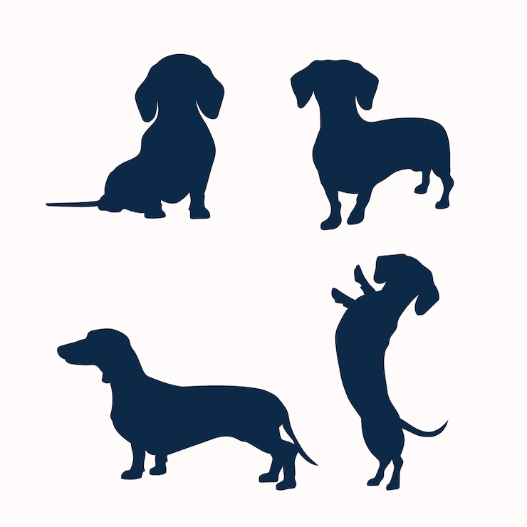 Vector gratuito ilustración de silueta de perro salchicha de diseño plano