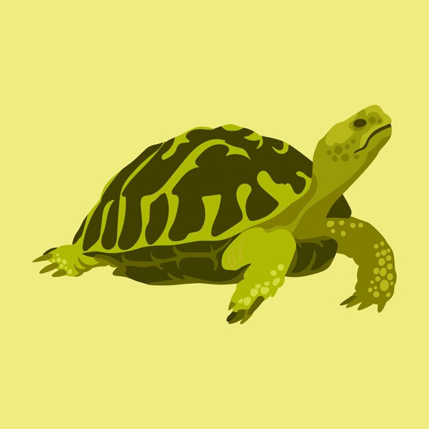 Ilustración de tortuga de diseño plano