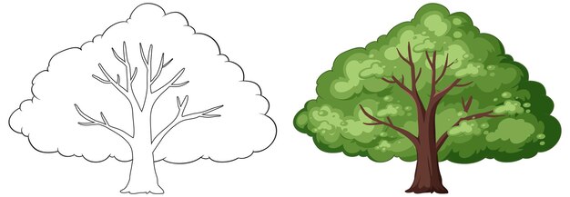 Ilustración de la transición estacional de los árboles