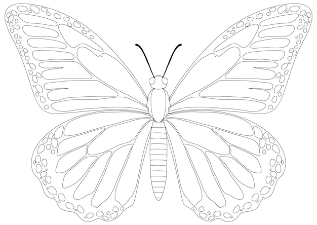 Vector gratuito ilustración del vector de la mariposa monarca