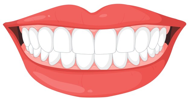 Ilustración del vector de la sonrisa saludable
