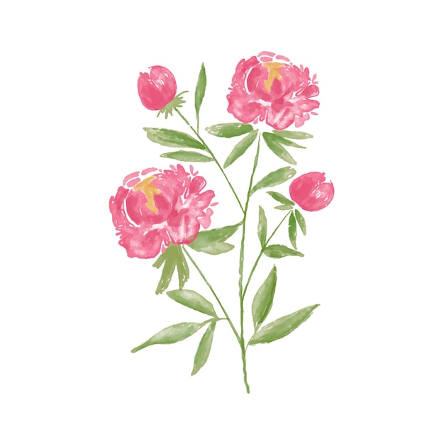 Ilustración vectorial Acuarela de la flor