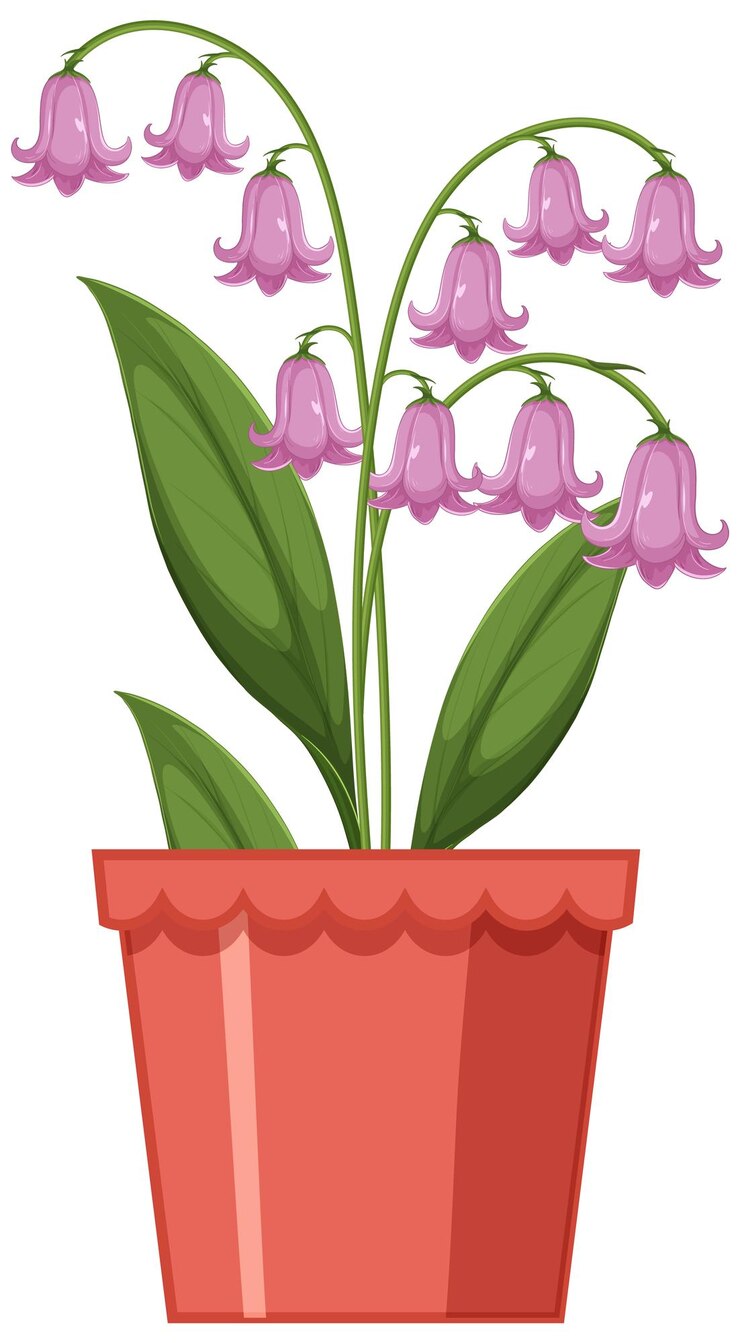 Vector gratuito ilustración vectorial de las campanillas púrpuras en macetas