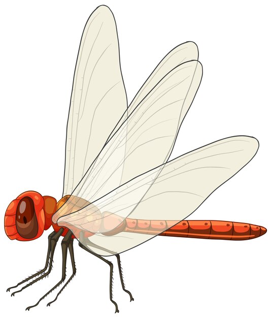 Ilustración vectorial detallada de una libélula roja