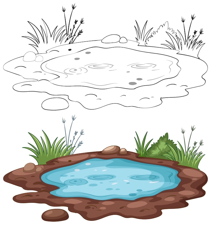 Vector gratuito ilustración vectorial del estanque de serene