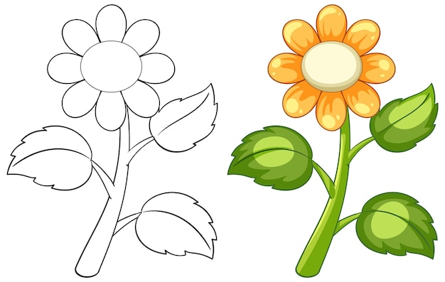 Ilustración vectorial de flores y contornos de colores