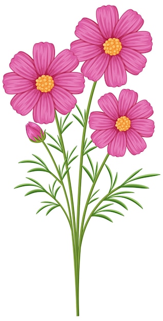 Ilustración vectorial de flores rosadas vibrantes del Cosmos