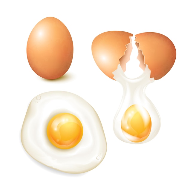 Vector gratuito ilustración vectorial de huevos de pollo realistas con agrietados y fritos aislados en fondo blanco