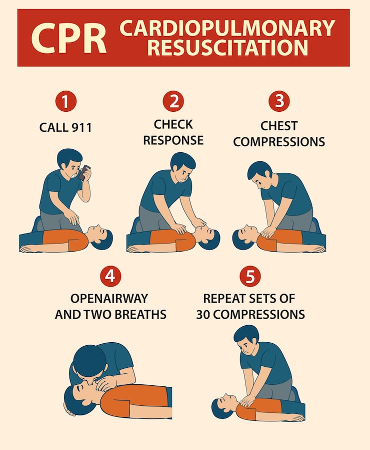 Vector gratuito ilustración vectorial instructiva de rcp paso a paso