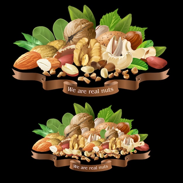 Ilustración vectorial mezcla de diferentes tipos de frutos secos