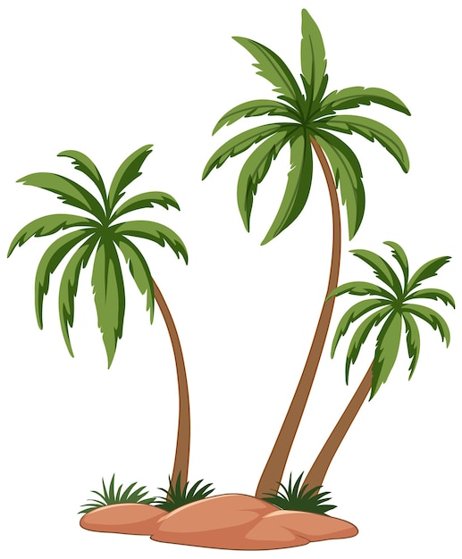 Vector gratuito ilustración vectorial de las palmeras tropicales