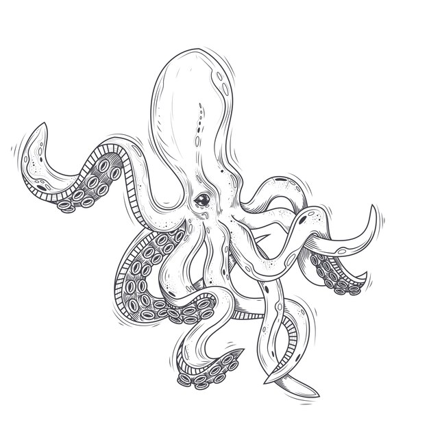 Ilustración vectorial de un pulpo pintado en un estilo de grabado aislado en blanco.