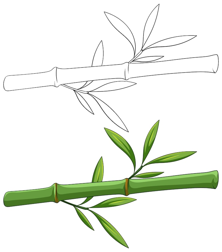Vector gratuito ilustración vectorial de la rama de bambú