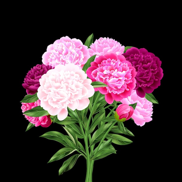 Vector gratuito ilustración vectorial realista de un gran ramo de peonías en varios tonos de rosa sobre un fondo negro