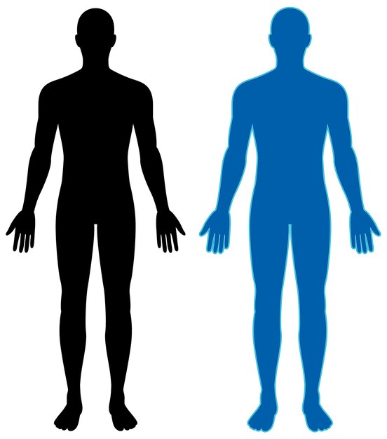 Ilustración vectorial de la silueta humana en negro y azul
