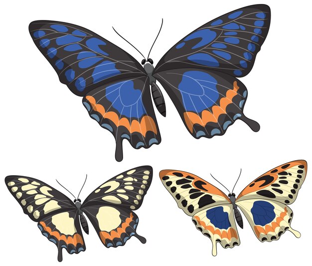 Ilustración vectorial del trío de mariposas vibrantes