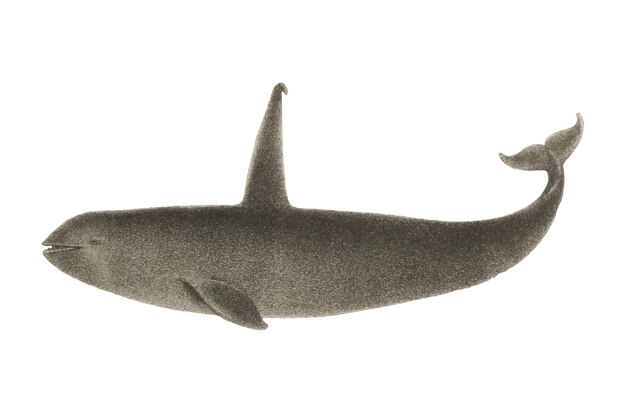 Vector gratuito ilustración vintage de la ballena