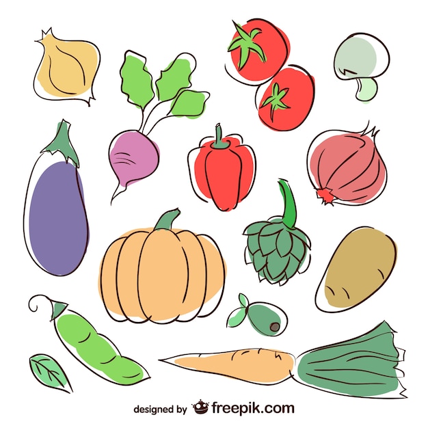 Ilustraciones de verduras de colores