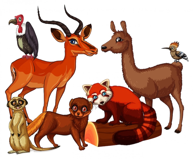 Vector gratuito imagen aislada de muchos animales.