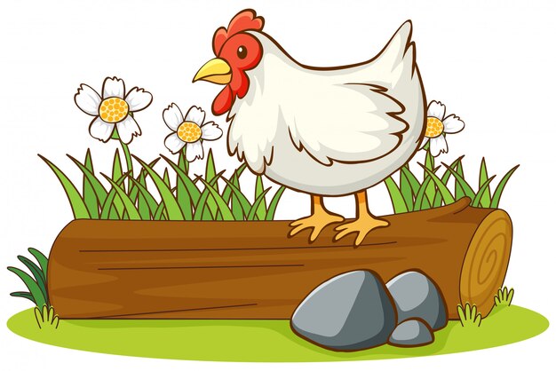 Imagen aislada de pollo en el registro
