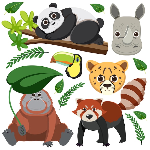 Imágenes de cara de panda de dibujos animados