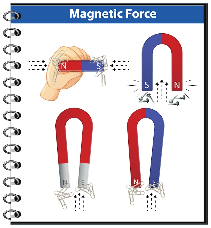 Vector gratuito los imanes de fuerza magnética recogen objetos metálicos isoalted en blanco